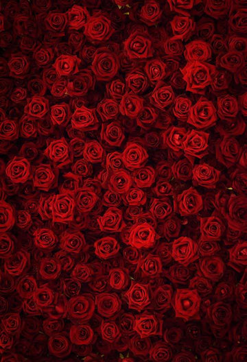 Flowers Background Red Backdrop S-3171